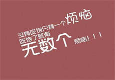 see8账号图

